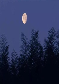 我去看月亮(校园1V1 )